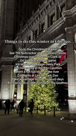 Video post by @smartcitychicago on TikTok