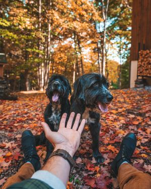 Image post by @jordankahana on Instagram