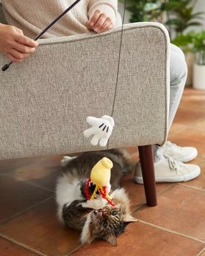 Image post by @disneypets on Instagram