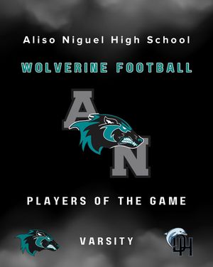 Image post by @aliso_football on Instagram