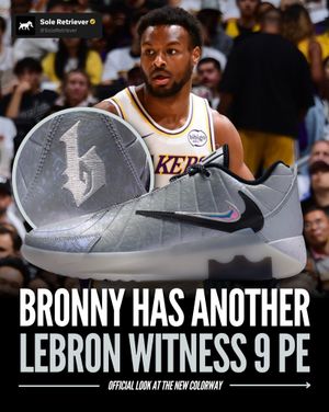 Image post by @soleretriever on Instagram