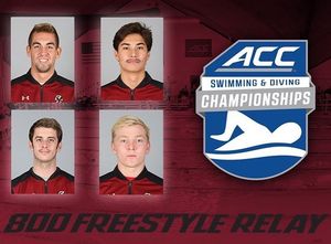 Image post by @bcswimminganddiving on Instagram