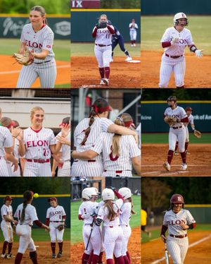Image post by @elonsoftball on Instagram