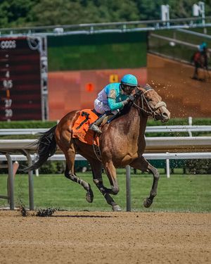 Image post by @firecrackerbaseball on Instagram