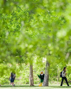 Image post by @unt on Instagram