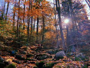 Image post by @augustrileygreenwood on Instagram