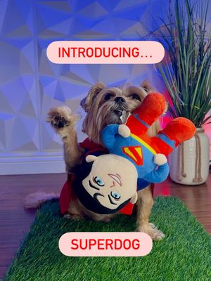 Image post by @petsmart on Instagram