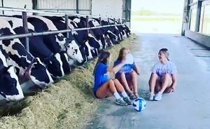 Image post by @IHSA.IL on Facebook