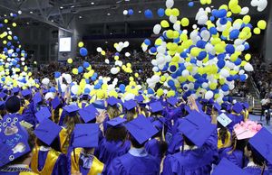 Image post by @hofstrau on Instagram