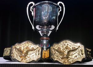 Image post by @nwa on Twitter/X