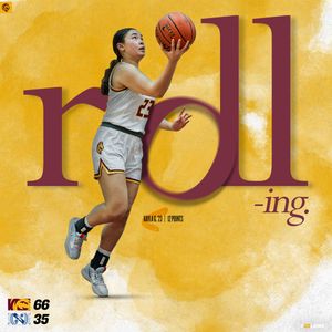 Image post by @LakesideLionsGB on Twitter