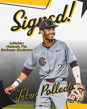 Image post by @appbaseball on Instagram