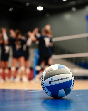 Image post by @yalevolleyball on Instagram