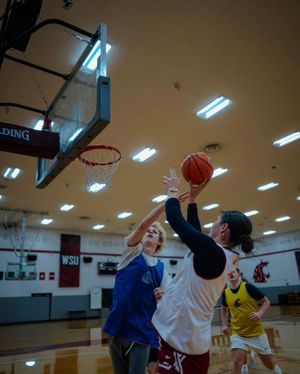 Image post by @wsucougarwbb on Instagram