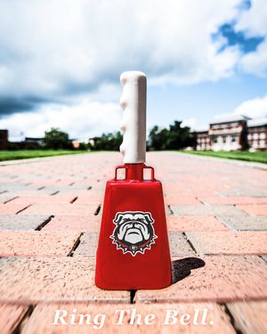 Image post by @dawgalerts on Instagram