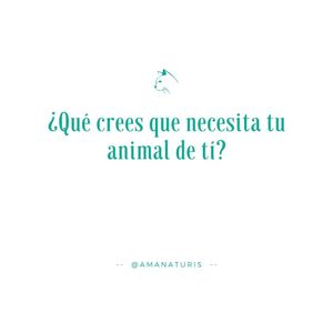 Image post by @amanaturis on Instagram