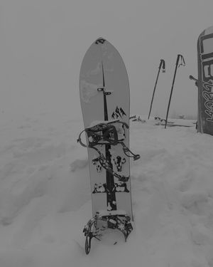 Image post by @gavinizzard on Instagram