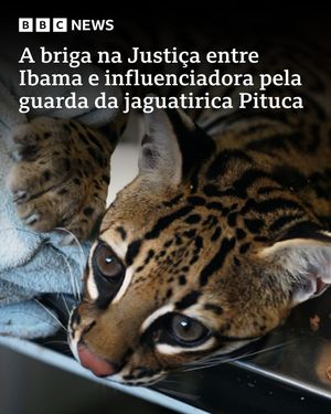 Image post by @bbcbrasil on Instagram