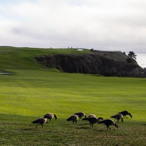 Image post by @pebblebeachresorts on Instagram