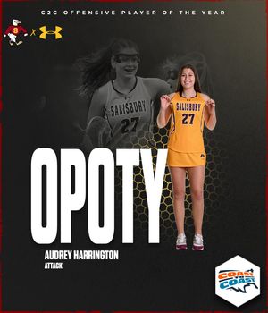 Image post by @suseagulls on Instagram
