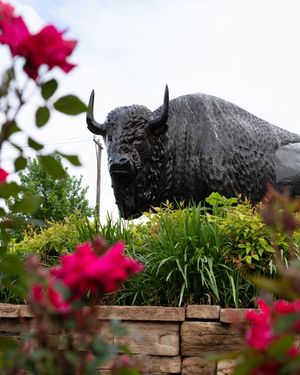 Image post by @marshallu on Instagram