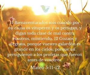 Image post by @lavinaorlandopca on Facebook