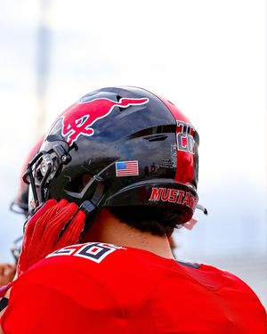 Image post by @vision.of.ant on Instagram