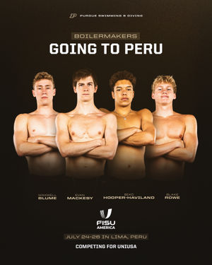 Image post by @purduemswimdive on Instagram