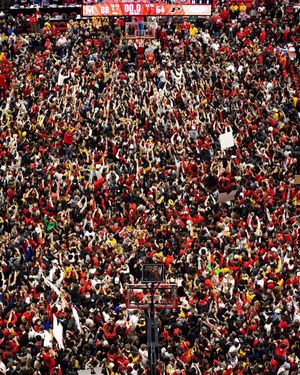 Image post by @terrapinhoops on Instagram