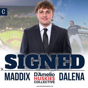 Image post by @dameliohuskies on Instagram