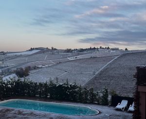 Image post by @villagarassino on Instagram