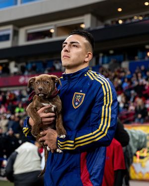 Image post by @realsaltlake on Instagram
