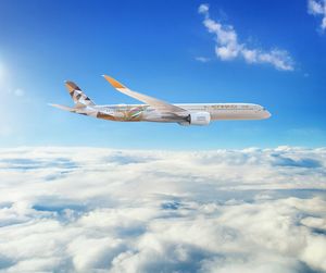 Image post by @etihad on Twitter