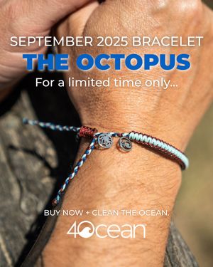 Image post by @4ocean on Instagram