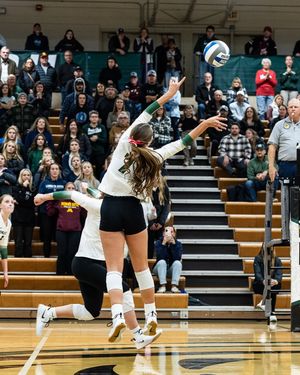 Image post by @bsubeavers on Instagram