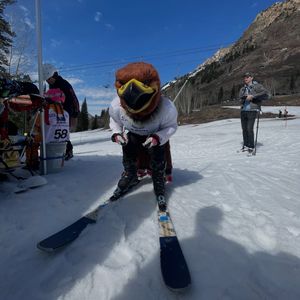Image post by @utahswoop on Instagram