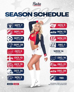 Image post by @patriotscheerleaders on Instagram