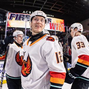 Image post by @firebirds on Instagram