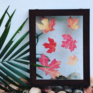 Image post by @leafyaffair on Instagram