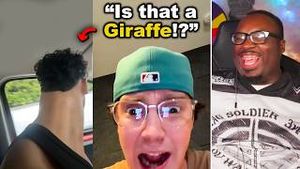 Video post by @internetcity on YouTube