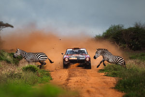 Image post by @worldsportsphotographyawards on Instagram