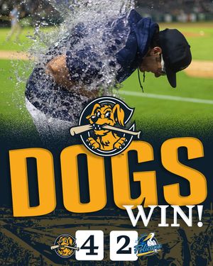 Image post by @chasriverdogs on Instagram