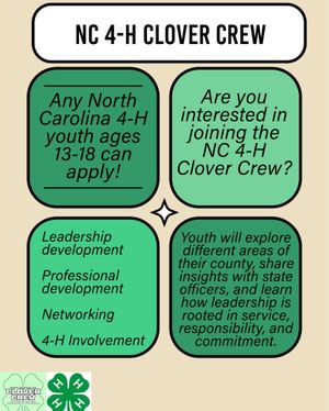Image post by @northcarolina4h on Instagram