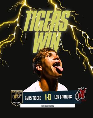 Image post by @bvtigergoalclub on Instagram