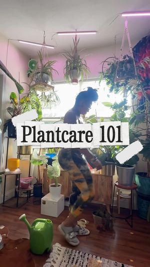 Video post by @cottonblu on Instagram
