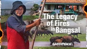 Video post by @greenpeace on YouTube