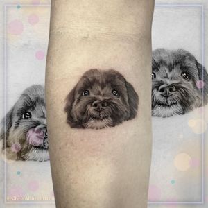 Image post by @tauntontattooco on Instagram