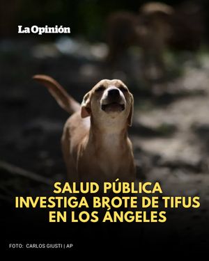 Image post by @laopinionla on Instagram