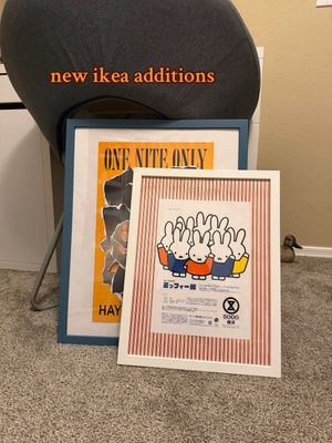 Video post by @lexy.meyers on TikTok