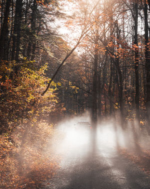 Image post by @wandernorthga on Instagram